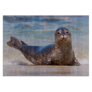 Planche À Découper Un phoque sur une plage le long de la côte Pacifiq