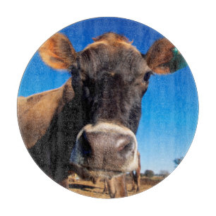Planche À Découper Une vache jersey curieuse