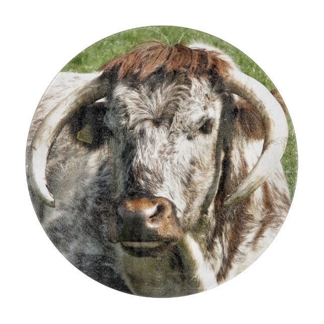 PLANCHE À DÉCOUPER VACHE (Devant)