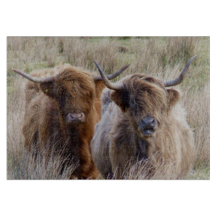 Planche À Découper Vaches écossaises des Highlands