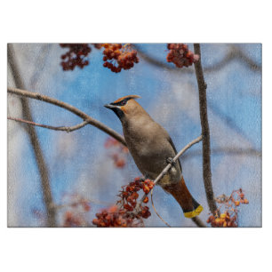 Planche À Découper Verrerie bohémienne, Faune Photographie Aviaire