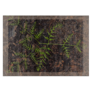Planche À Découper vert printemps