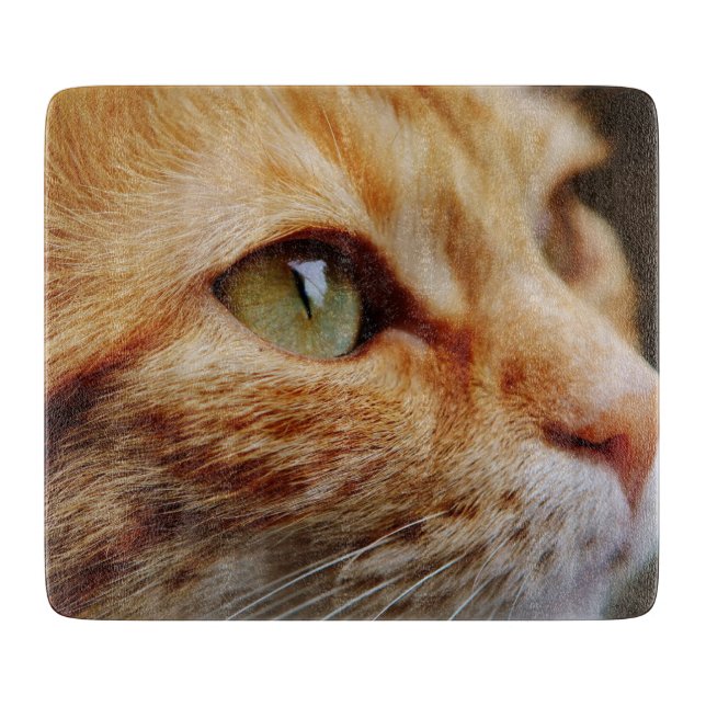 Planche À Découper Visage déterminé d'un chat de gingembre (Devant)
