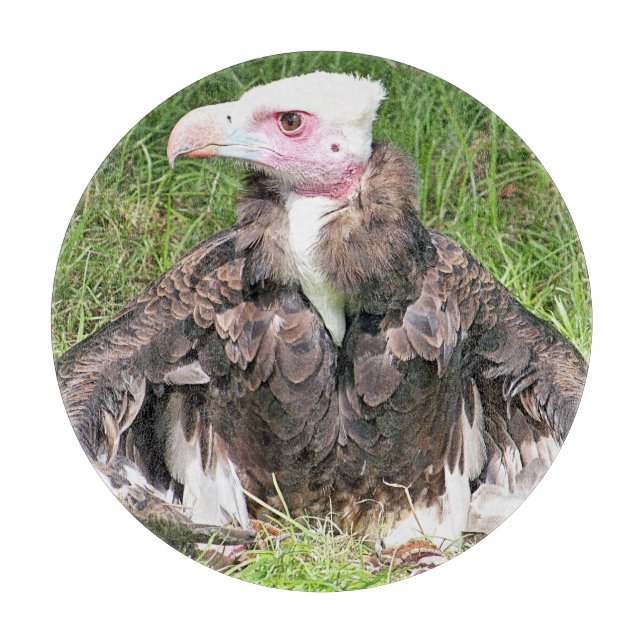 PLANCHE À DÉCOUPER VULTURE (Devant)