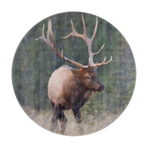 Planche À Découper Wapiti des montagnes Rocheuses