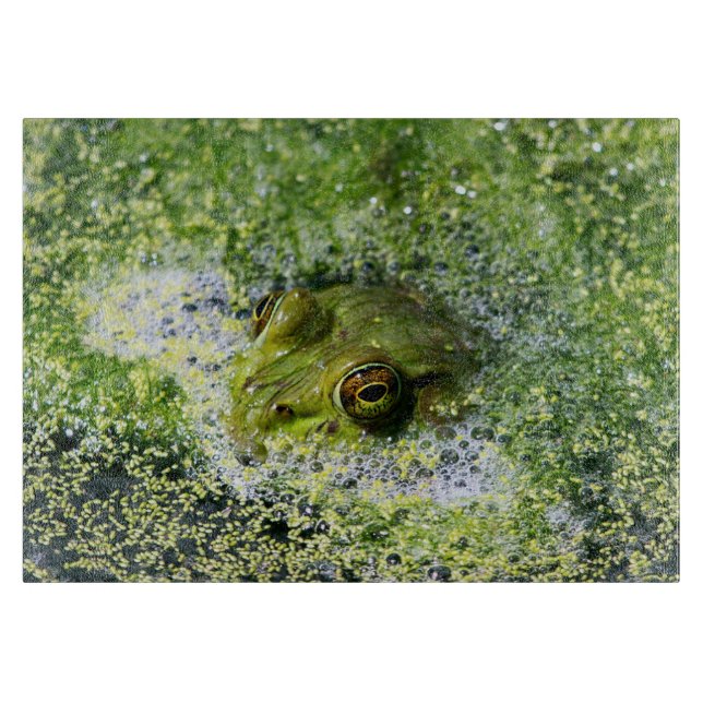 Planche À Découper Yeux de grenouille dans un étang (Devant)
