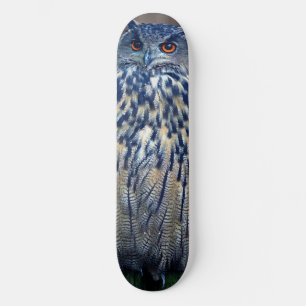 Planche de skateboard de Chouette Bleue