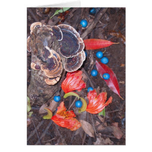 Plancher tropical de forêt