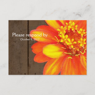 Planches en bois, Zinnia orange RSVP avec