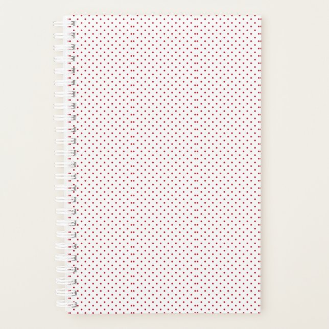 Planer (Vorderseite)