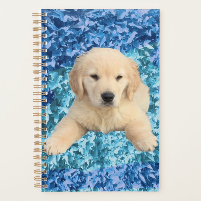 Planer - Golden Retriever Puppy (Vorderseite)