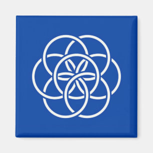 Planet earth flag magnet