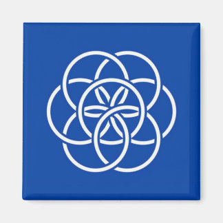 Planet earth flag magnet