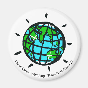 Planet Earth - Magnet