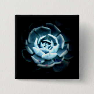 Planet Echeveria 2 Knopf Button