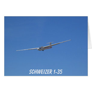 Planeur Schweizer 1-35