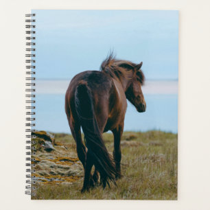Planificateur à cheval pittoresque
