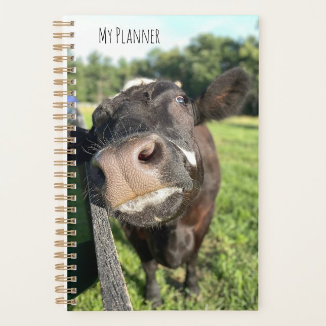 Planificateur "Boop" de vache (Devant)