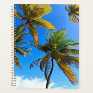 Planificateur d'arbre à noix de coco - Plan en Par