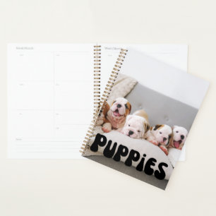 Planificateur de calendrier des marionnettes mures