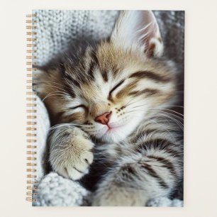 Planificateur de chats