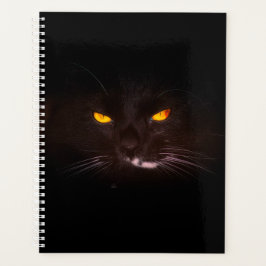 Planificateur de chats noirs