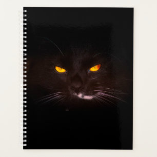 Planificateur de chats noirs