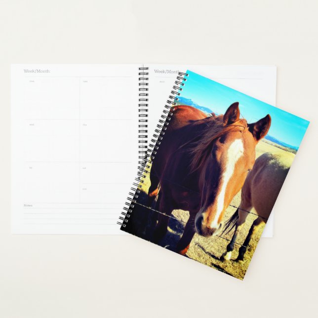 Planificateur de chevaux (Devant avec enveloppe)