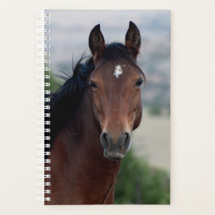 Planificateur de chevaux sauvages
