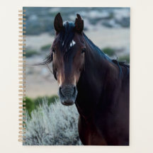 Planificateur de chevaux sauvages