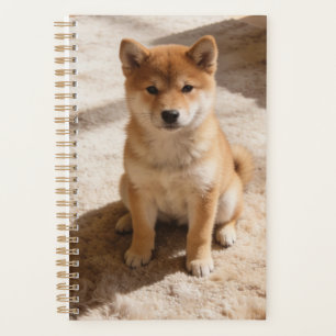 Planificateur de chiots Shiba Inu