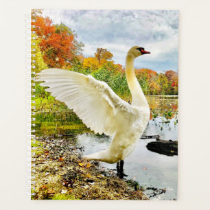 Planificateur de cygne