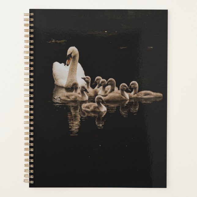 Planificateur de cygne (Devant)