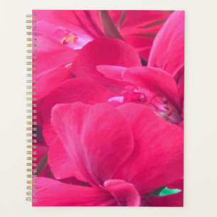 Planificateur de fleurs roses