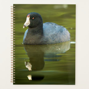 Planificateur de Foulque d'Amérique Journal d'oi