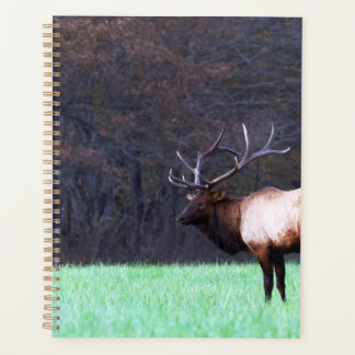 Planificateur de Grande Montagne fumée Elk 2026