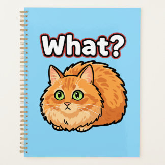 Planificateur de Mème de Chat Roux Choqué Drôle Qu