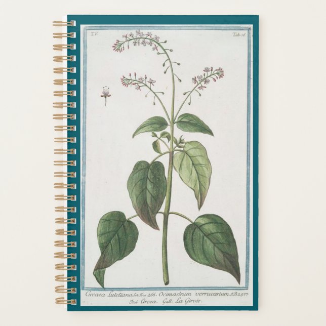 Planificateur de nuits Enchanter (Devant)