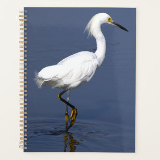 Planificateur de photos Heron