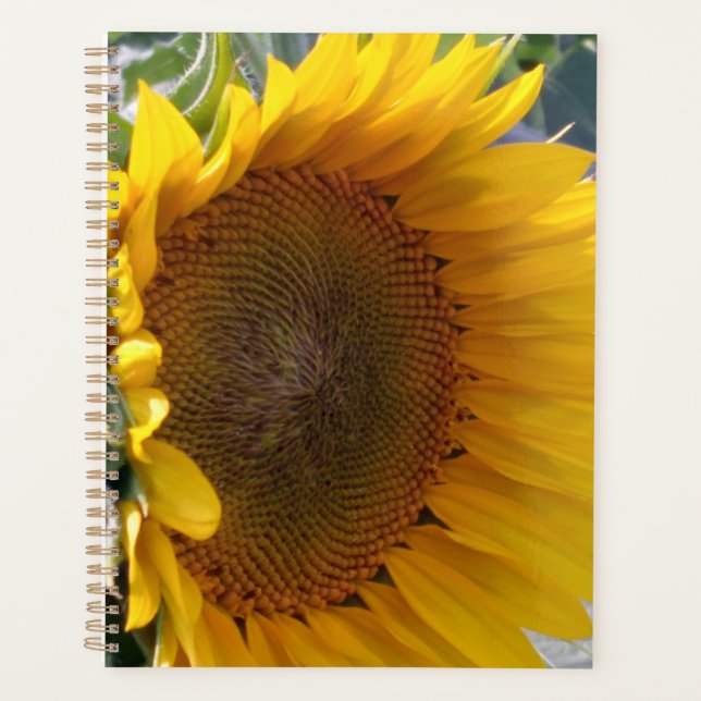 Planificateur de tournesols (Devant)