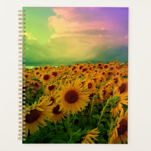 Planificateur de tournesols