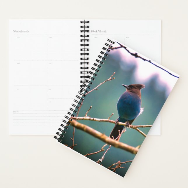 Planificateur d'observateurs d'oiseaux (Devant avec enveloppe)