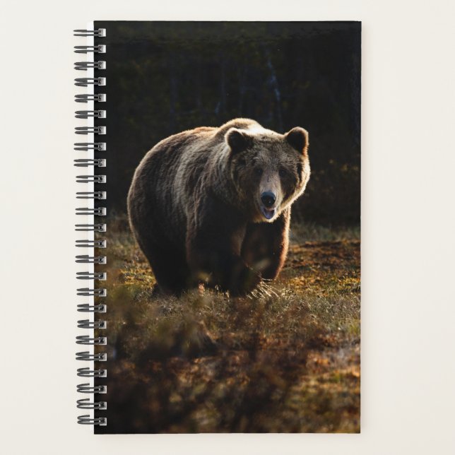 Planificateur d'ours (Devant)