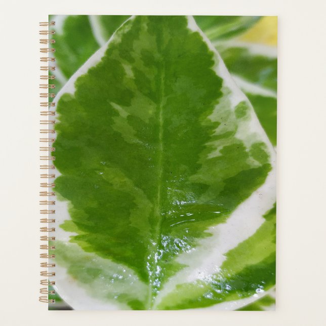 Planificateur dur customisé standard (8,5 po x 11  (Devant)