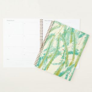 Planificateur Fern