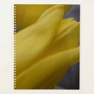 Planificateur floral Tulipe jaune – Photographie d