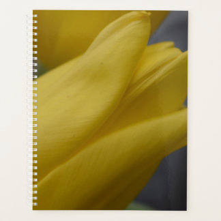 Planificateur floral Tulipe jaune – Photographie d
