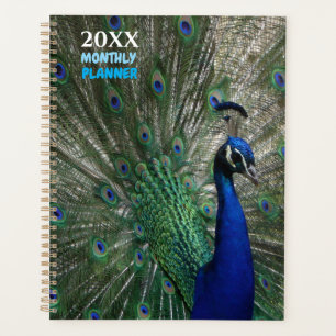 Planificateur mensuel non daté de calendrier de Pa