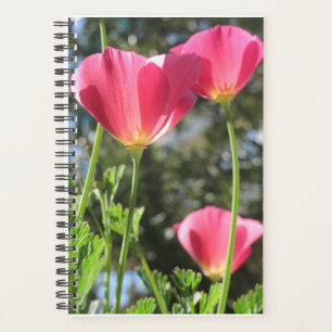 Planificateur Mont Tamalpais aux fleurs roses