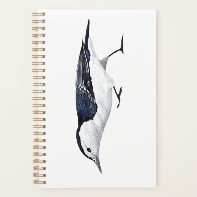 Planificateur Nuthatch à poitrine blanche (Devant)